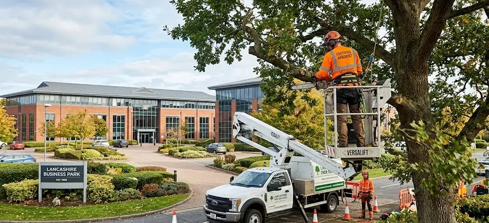 Hedge Trimming Preston Maintenance